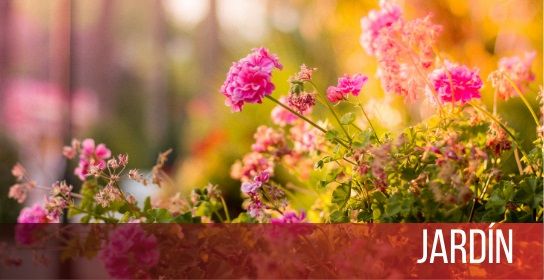 catalogo jardin easy